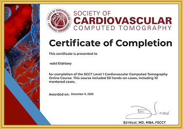 National Board of Echocardiography Certificate