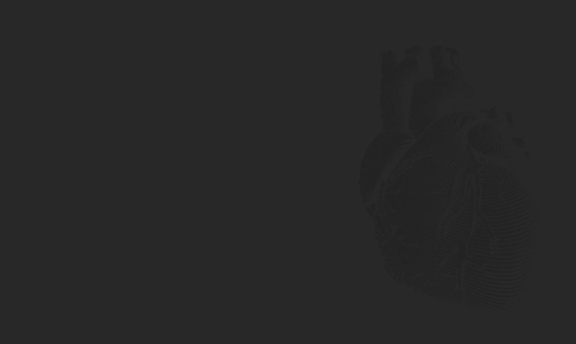 CV and Awards Section