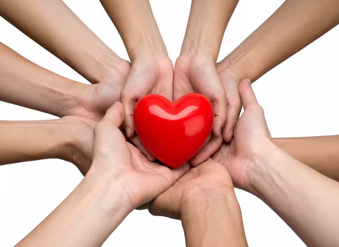 Special offers for clients