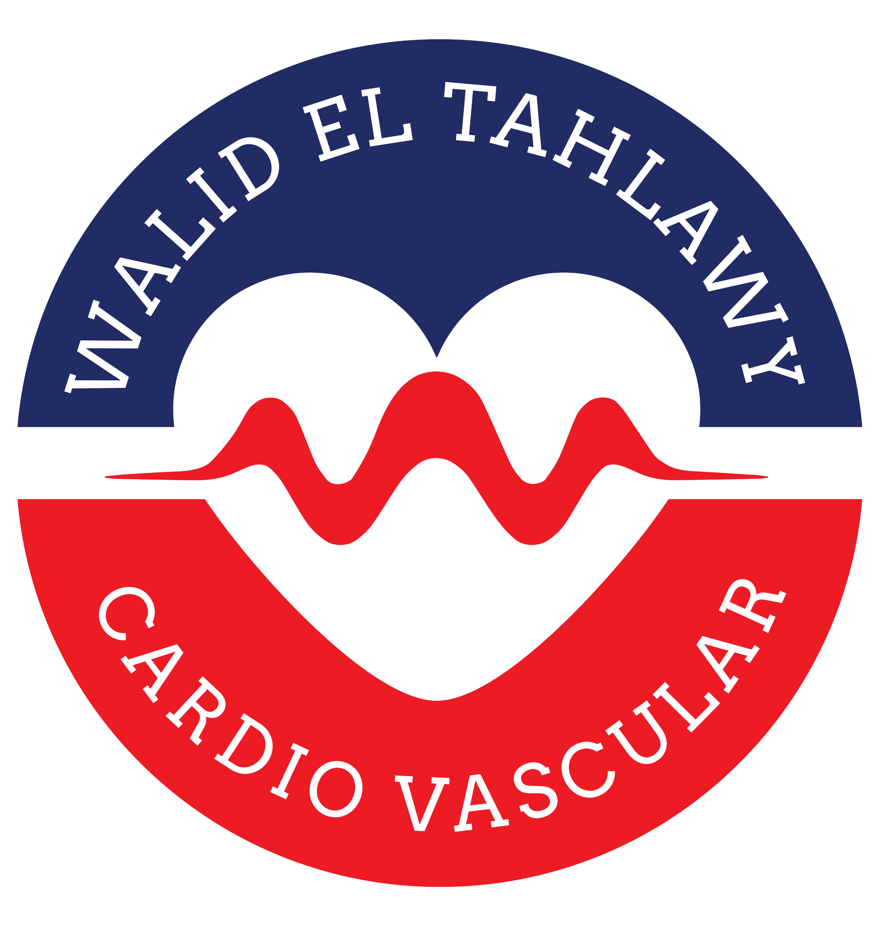 The American Hospital Logo